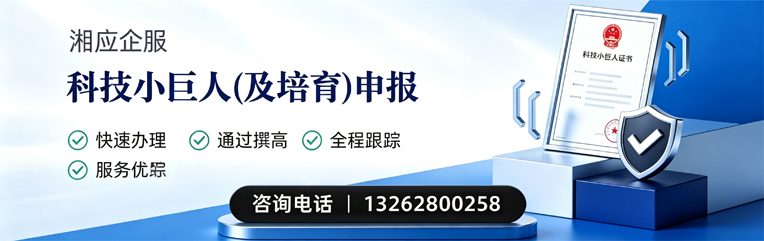 安徽科技小巨人及培育企业申报服务