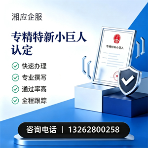 安徽专精特新小巨人申报服务