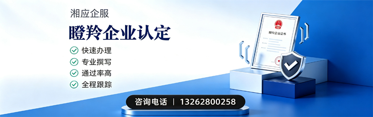 安徽瞪羚企业认定申报服务