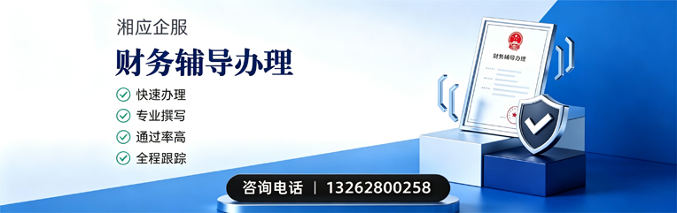 安徽财务辅导申请服务