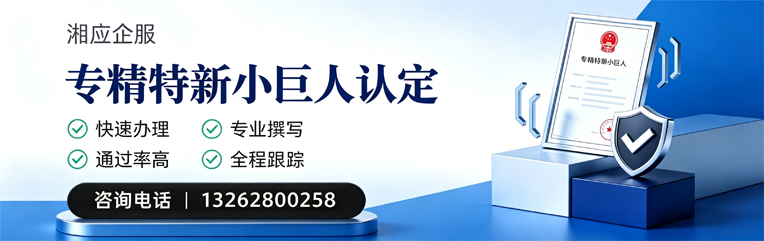 安徽专精特新小巨人申报服务